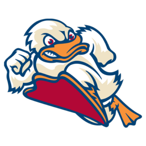 stevens-duck